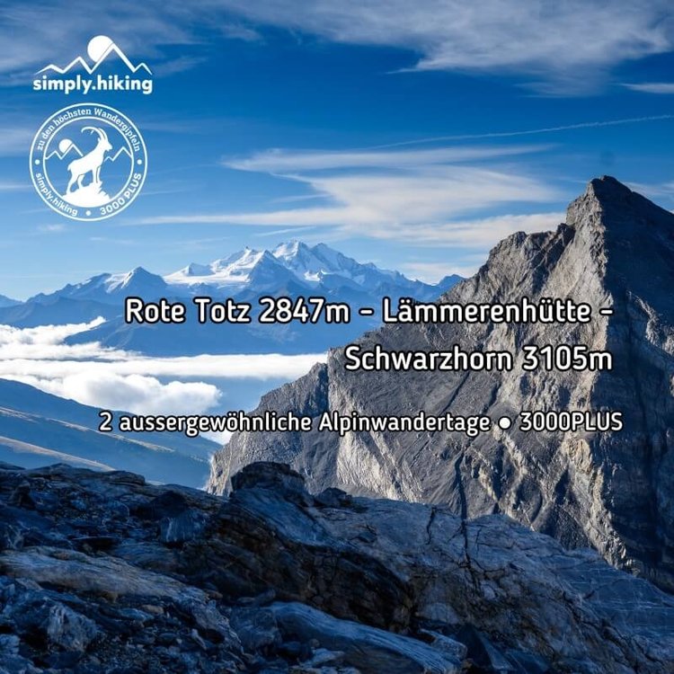 Alpinwanderung Schwarzhorn 3105m