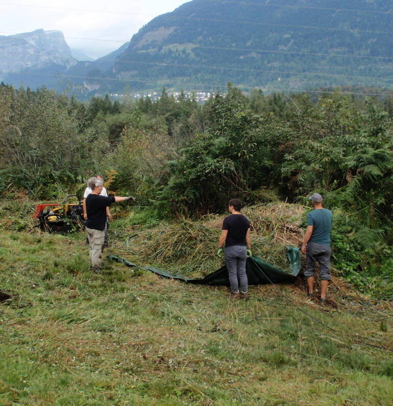 Freiwilligeneinsatz: Moorpflege im Schutzgebiet Weihermühle